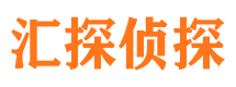 轮台侦探公司